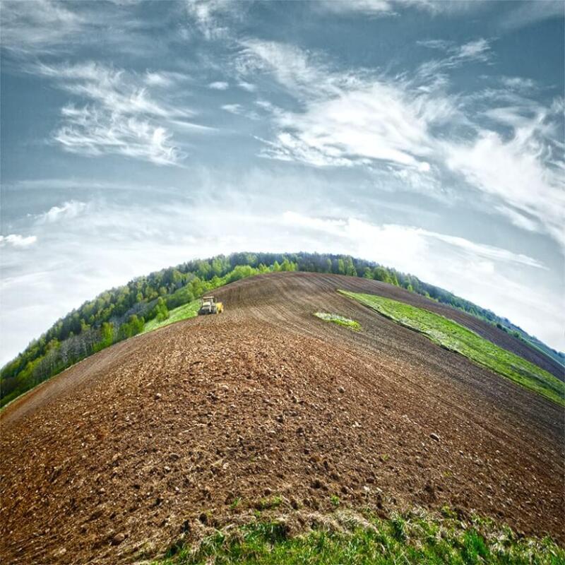 Agriculture Field