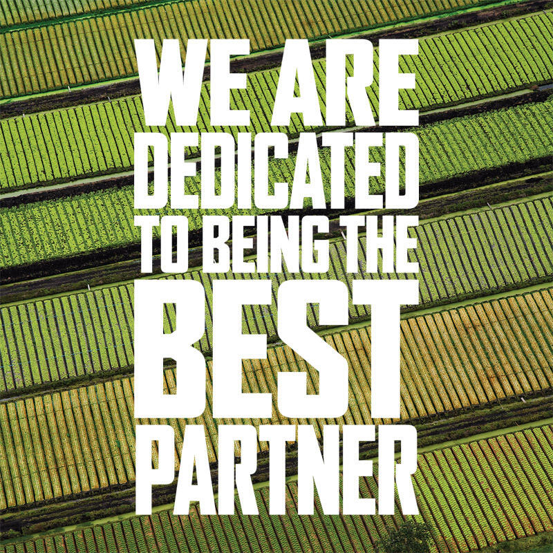 Procurement-we-are-dedicated