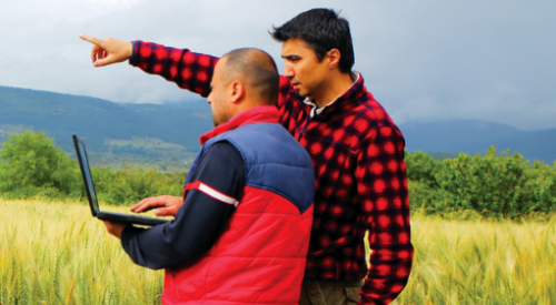 Voice of customer image